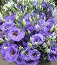 a bunch of purple flowers in a bucket