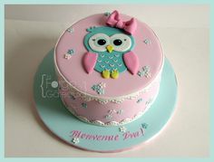 a pink and blue cake with an owl on top