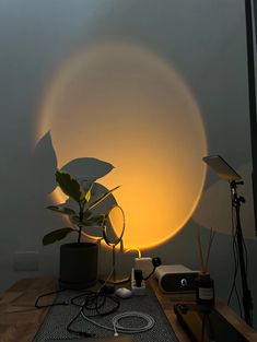 a table topped with a plant next to a light on top of a wooden table