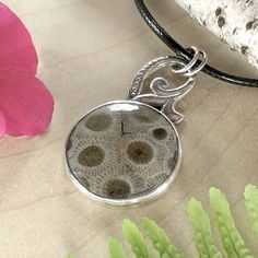 Petoskey Stone from Michigan handcrafted into a cabochon and placed in a customized oxidized sterling silver bezel setting. Includes a 20" black 2mm, braided, cotton cord necklace with a sterling silver clasp. Pendant measures 1.0" x 1.7" and the cabochon is approximately 25mm in diameter. Petoskey Stone Jewelry, Cotton Cord Necklace, Petoskey Stone, By The Lake, Cabochons Stones, Stone Pendant Necklace, Oxidized Sterling Silver, Cord Necklace, Cotton Cord