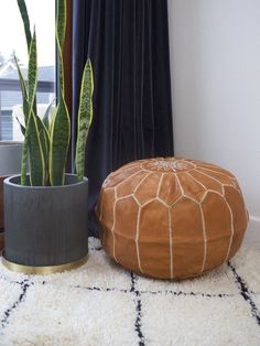 a large potted plant sitting on top of a rug next to a foot stool