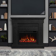 a living room with a television and fire place in the fireplace, surrounded by bookshelves