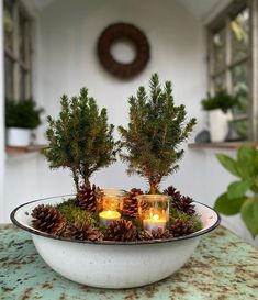 pine cones and candles are in a bowl on a table with evergreens around it