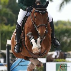 a woman riding on the back of a brown horse in an equestrian show jumping over obstacles