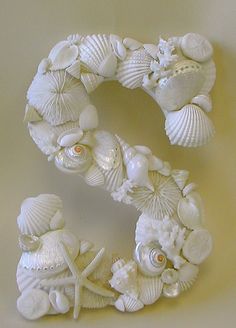 the letter s is made out of seashells and shells