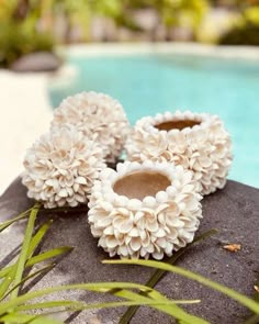 two white flowers sitting on top of a rock next to a pool