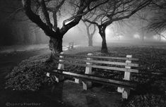 a park bench sitting in the middle of a field with trees and leaves on it