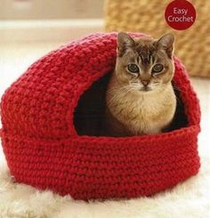 a cat sitting in a red crocheted bed