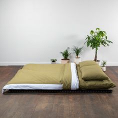 a bed that has some plants on top of it in a room with wood floors