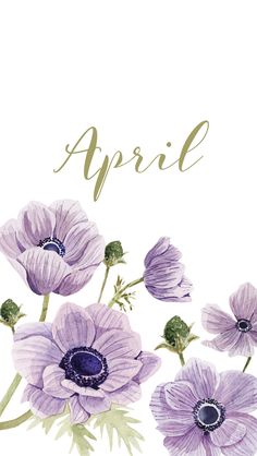 an image of purple flowers with the words spring