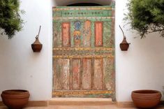 an old wooden door with potted plants next to it