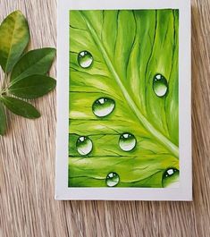 a green leaf with drops of water on it next to a small plant and some leaves