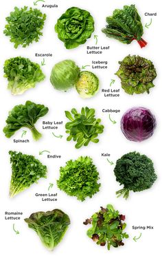 a bunch of different types of vegetables on a white background with green leaves and red cabbages