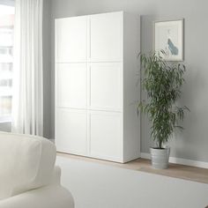 a living room with white furniture and a potted plant