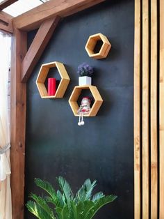 three hexagonal shelves on the wall above a potted plant and candle holder