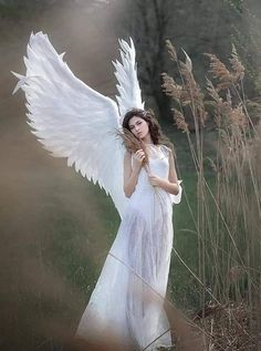 a woman with white wings standing in tall grass