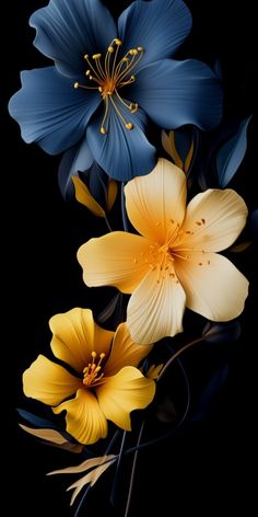 three blue and yellow flowers on a black background