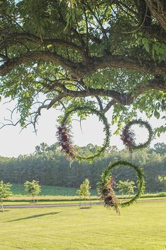 a heart shaped wreath hanging from a tree in the middle of a field with trees around it