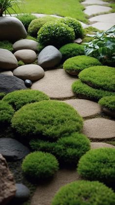 a garden with rocks, grass and plants