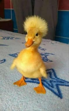 a small yellow duck sitting on top of a bed