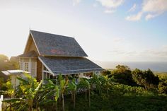 the house is surrounded by banana trees and other greenery