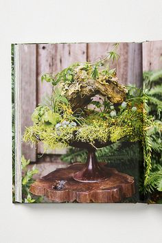 an open book with moss and other plants in it on a wooden table next to a fence