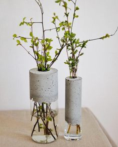 two vases with plants in them sitting on a table