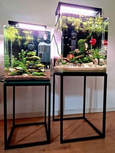 two fish tanks with plants and rocks in them sitting on top of a wooden floor