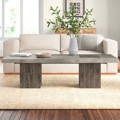 a living room with a couch, coffee table and potted plant in the corner