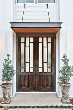 two potted plants sit in front of a double door with glass panels on the side