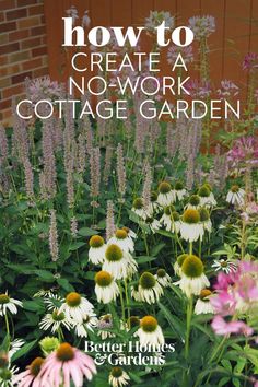 a garden with white and pink flowers in the foreground, text overlay reads 6 steps to a no - work cottage garden