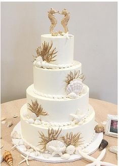 there is a wedding cake with sea shells on the table