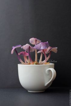 small purple flowers are growing out of the inside of a white cup on a black surface