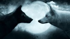 two wolfs facing each other in front of a full moon