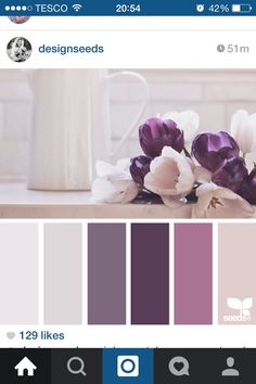 purple and white flowers are in front of a coffee cup on a countertop with the color scheme