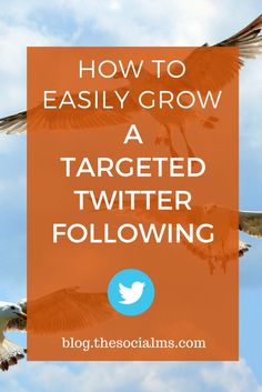 two birds flying in the sky with text overlay that reads how to easily grow a targeted twitter following