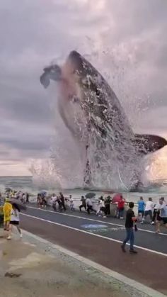 a large whale is jumping out of the water while people watch from the side walk