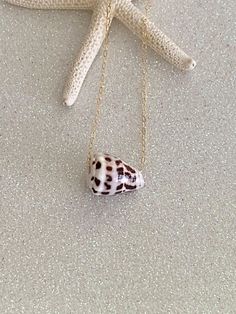 a sea shell is hanging from a gold chain on the sand near a starfish