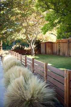 the grass is growing along the wooden fence