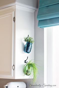 two green plants are hanging on the wall next to a white cabinet with blue drapes