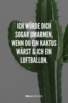 a green cactus with the words, ih wurdd dich sogar umarmen, meinn du en kaktus warst & ich lui