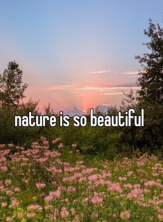 the words nature is so beautiful in front of a field of wildflowers and trees