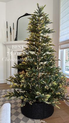 a small christmas tree in a black pot