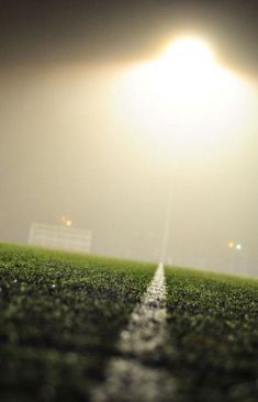 a soccer field at night with the lights on and grass in the foreground is wet