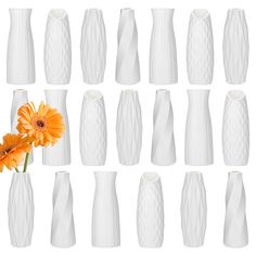 there are many white vases with one orange flower in the middle and six on each side