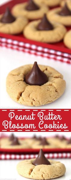 peanut butter blossom cookies with chocolate on top