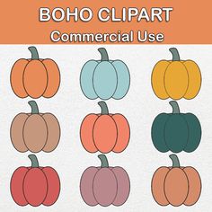 a bunch of different colored pumpkins on a white background with the words boho clipart commercial use