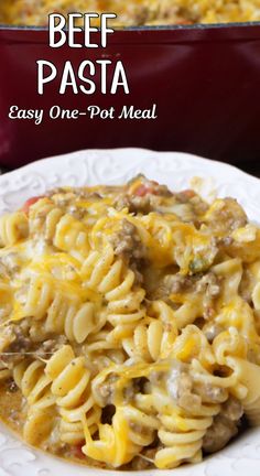 A white bowl filled with a serving of pasta, hamburger, cheese, and more in a savory sauce. One Pot Ground Beef Pasta Recipes, Ground Beef Pasta Recipes One Pot, Soup With Rotini Noodles, Pasta With Rotini Noodles, Rotini Ground Beef Recipes, Rotini With Meat Sauce, Rotini And Ground Beef Recipes, Beef And Rotini In Garlic Parmesan, One Pot Meals Easy Ground Beef