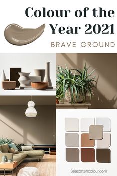 the color of the year 2021 is brown and white, with an image of a plant in