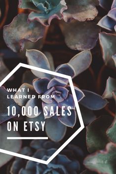 succulent plants with the words what i learned from 10, 000 sales on etsy